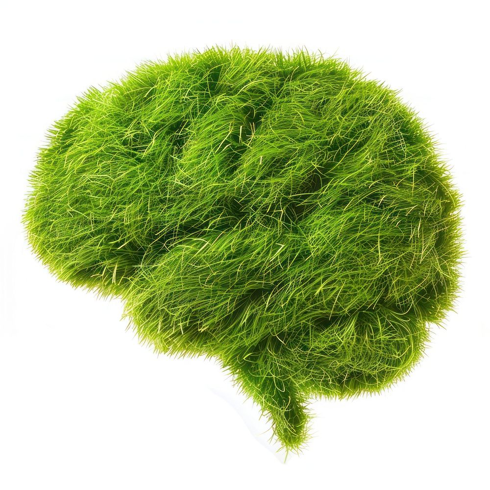 Brain shape grass plant moss leaf.