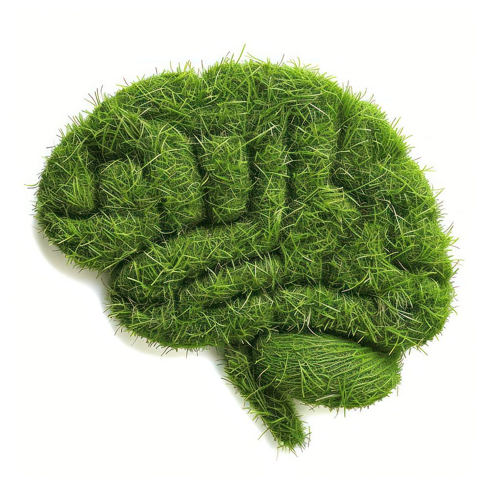 Brain shape grass plant moss knot.