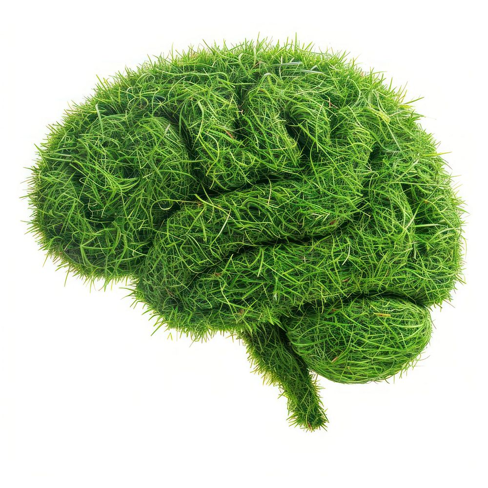 Brain shape grass plant moss knot.