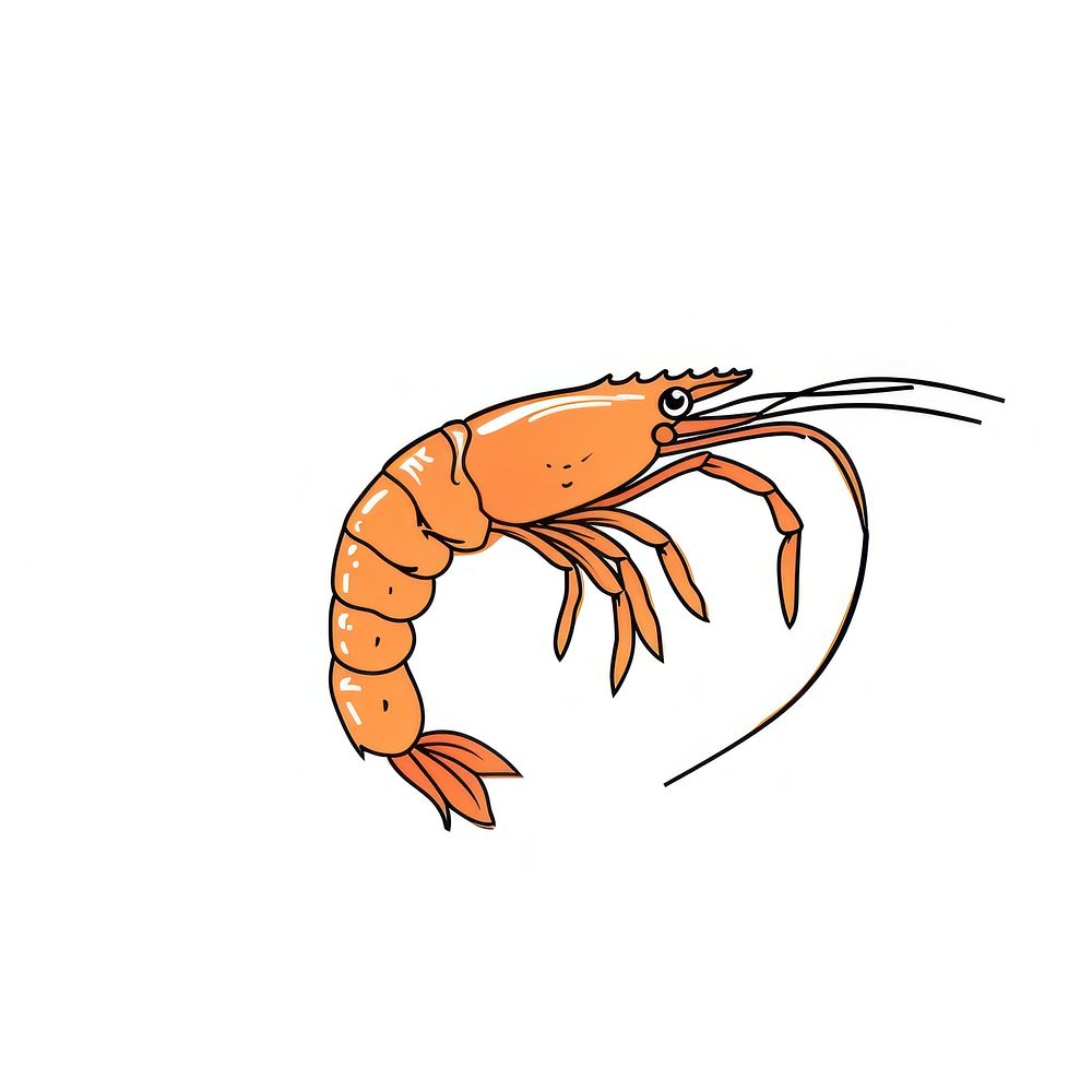 Prawn invertebrate seafood lobster.