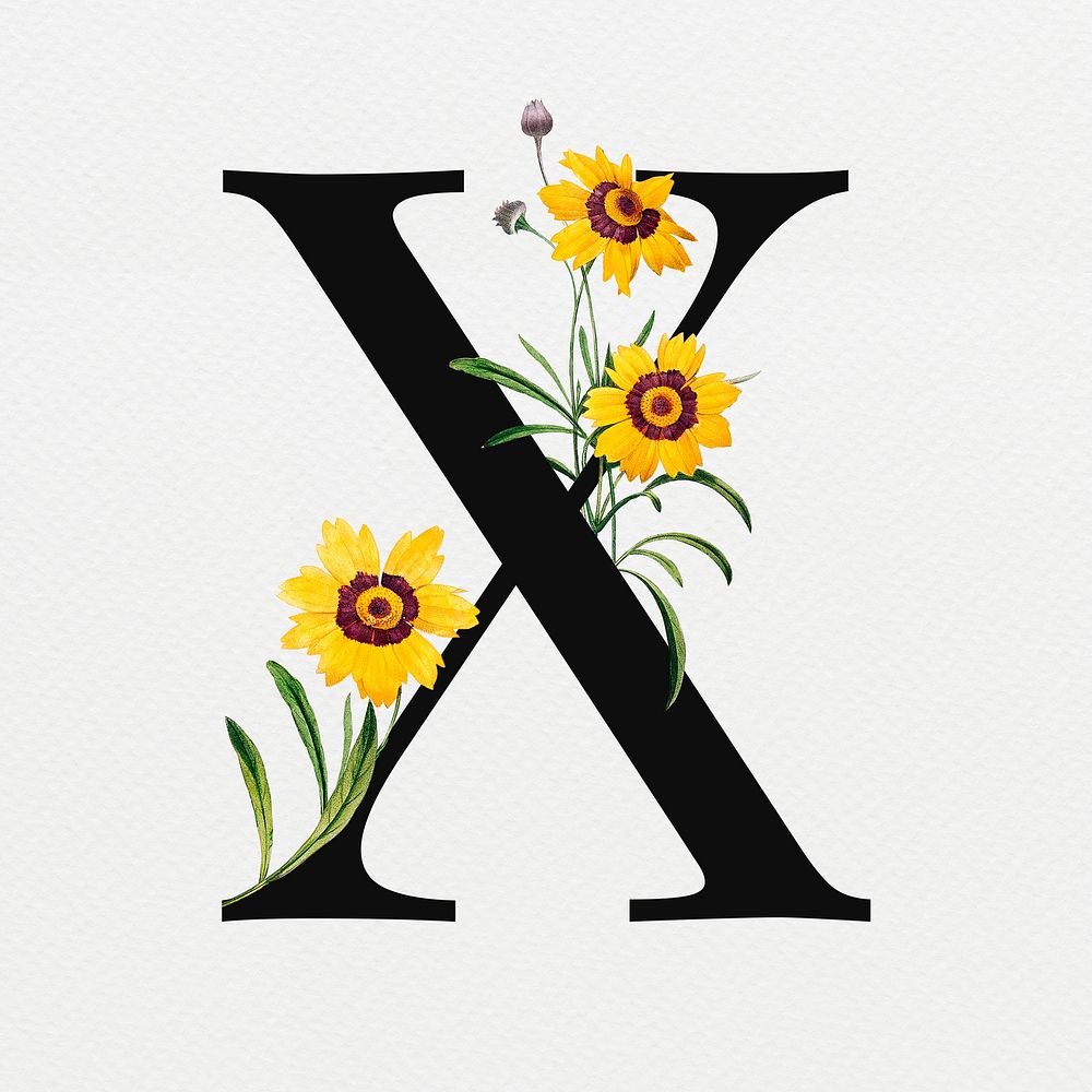 Letter X floral font