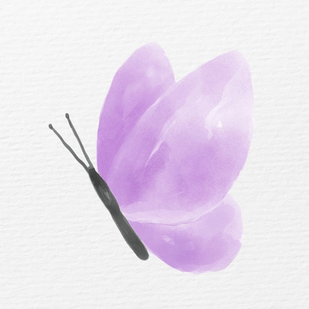 Purple butterfly, watercolor animal illustration
