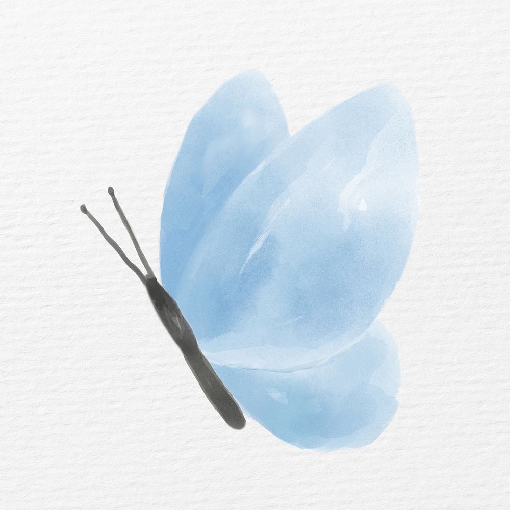 Blue butterfly, watercolor animal illustration