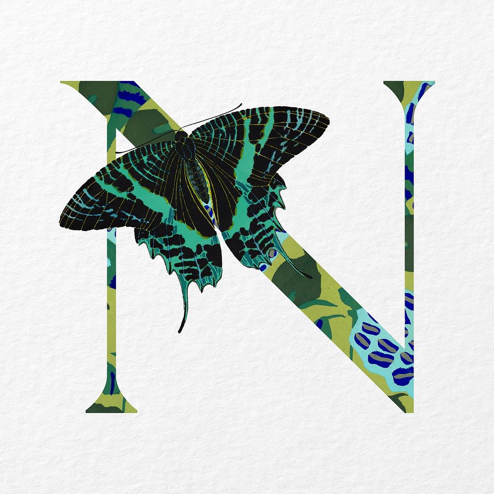 Letter N in Seguy Papillons art alphabet illustration