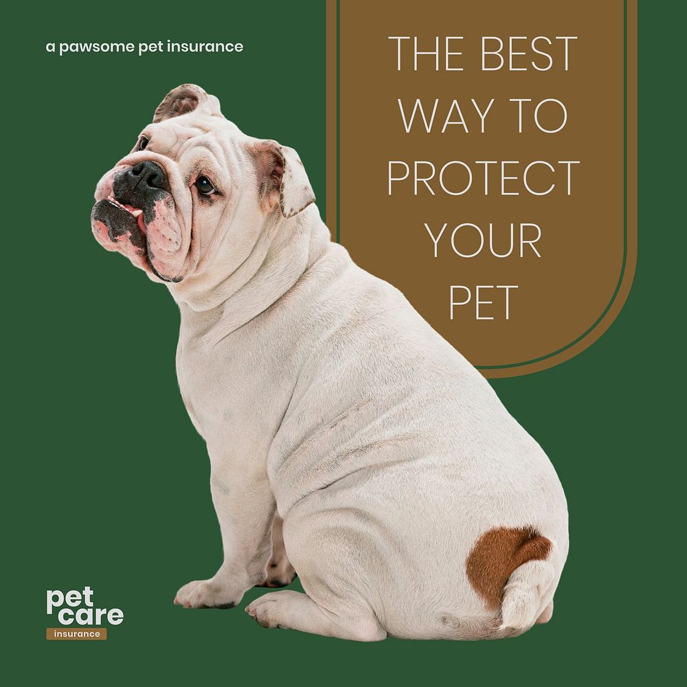 Pet insurance Instagram post template, editable design