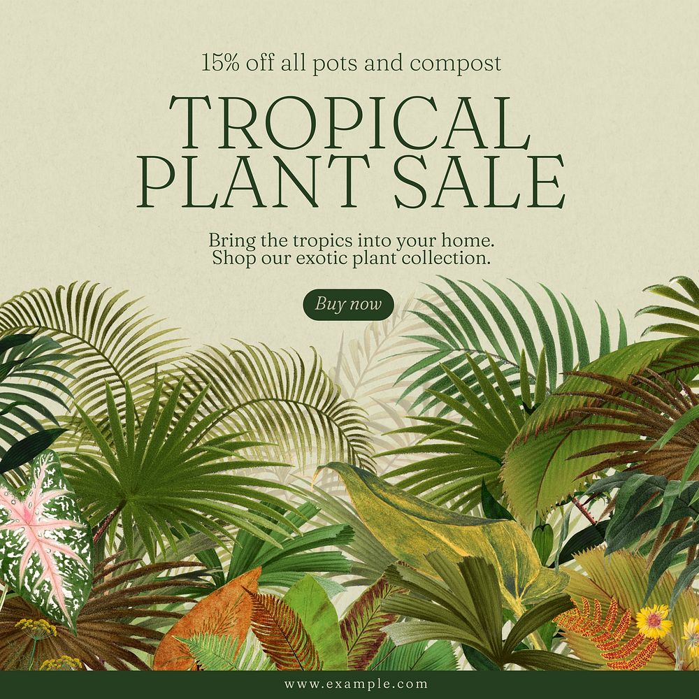 Tropical plant sale Instagram post template  