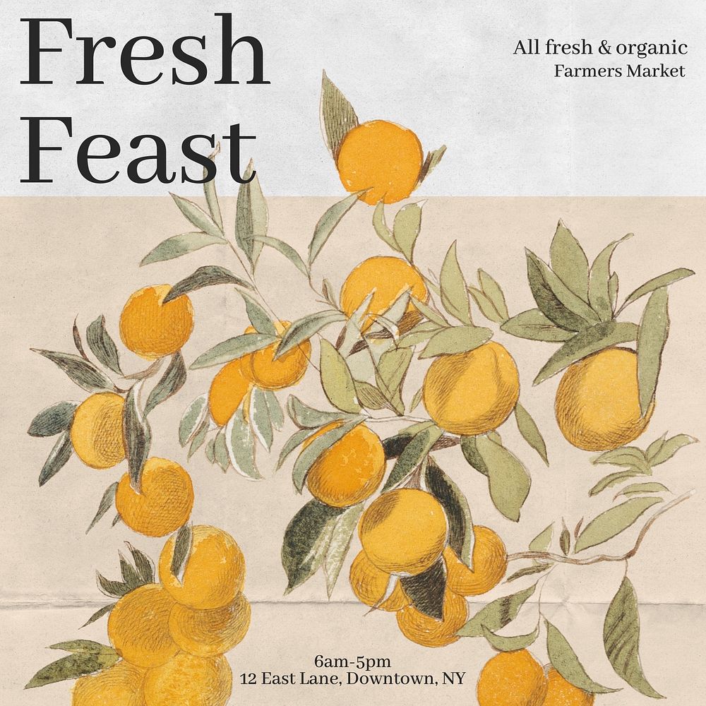 Fresh organic food Instagram post template