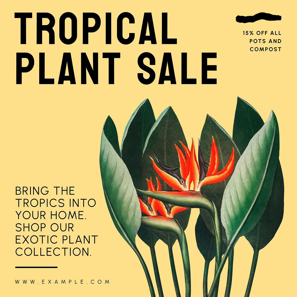 Tropical plant sale Instagram post template