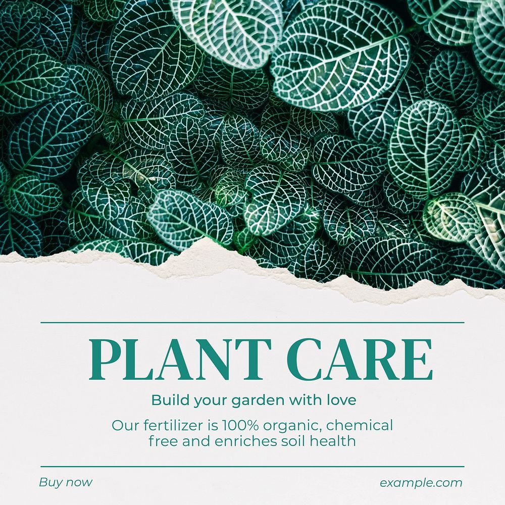 Plant care Instagram post template, editable text