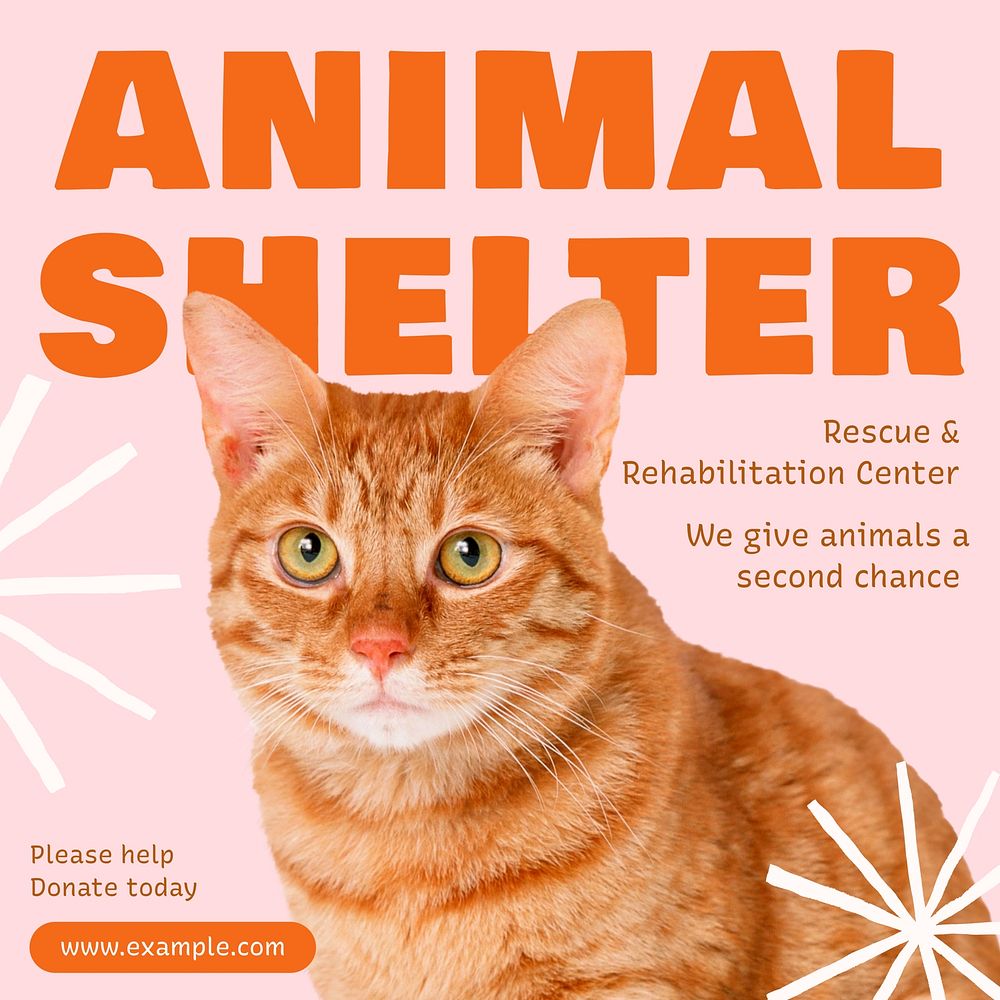 Animal shelter Instagram post template  