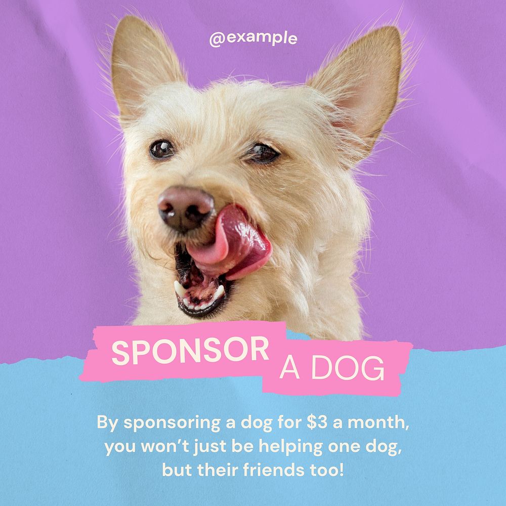 Sponsor a dog Instagram post template  