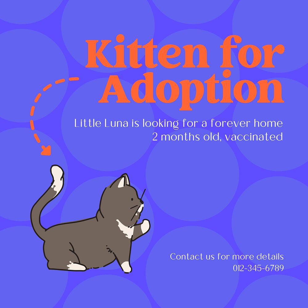 Kitten for adoption Facebook post template