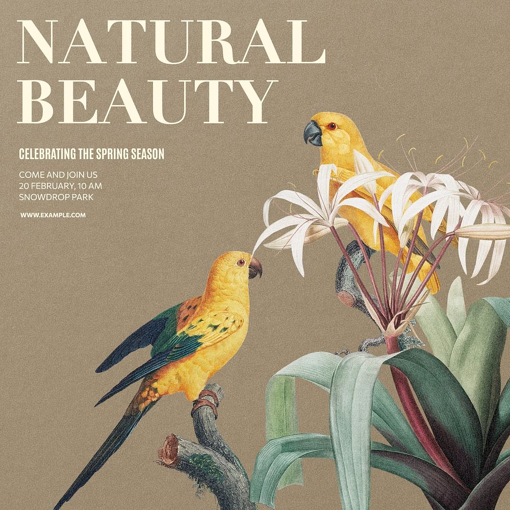 Natural beauty Facebook post template  design