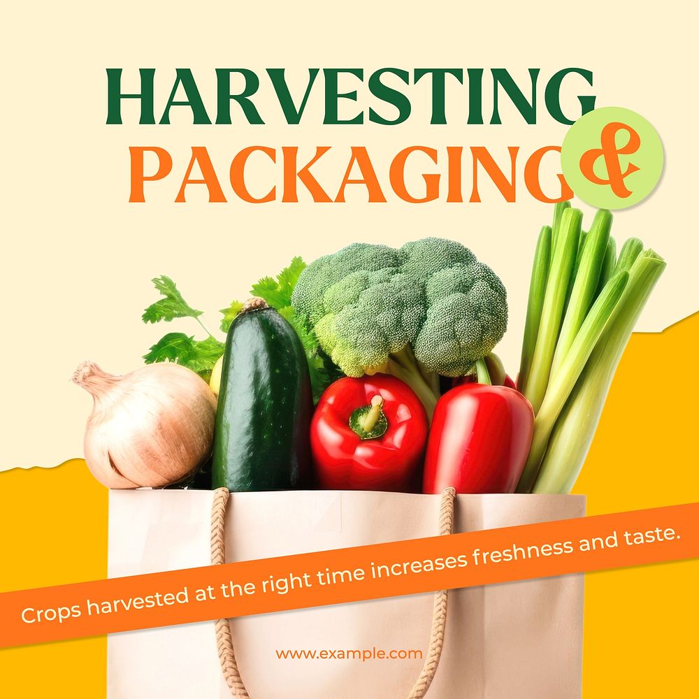 Harvesting and packaging Instagram post template