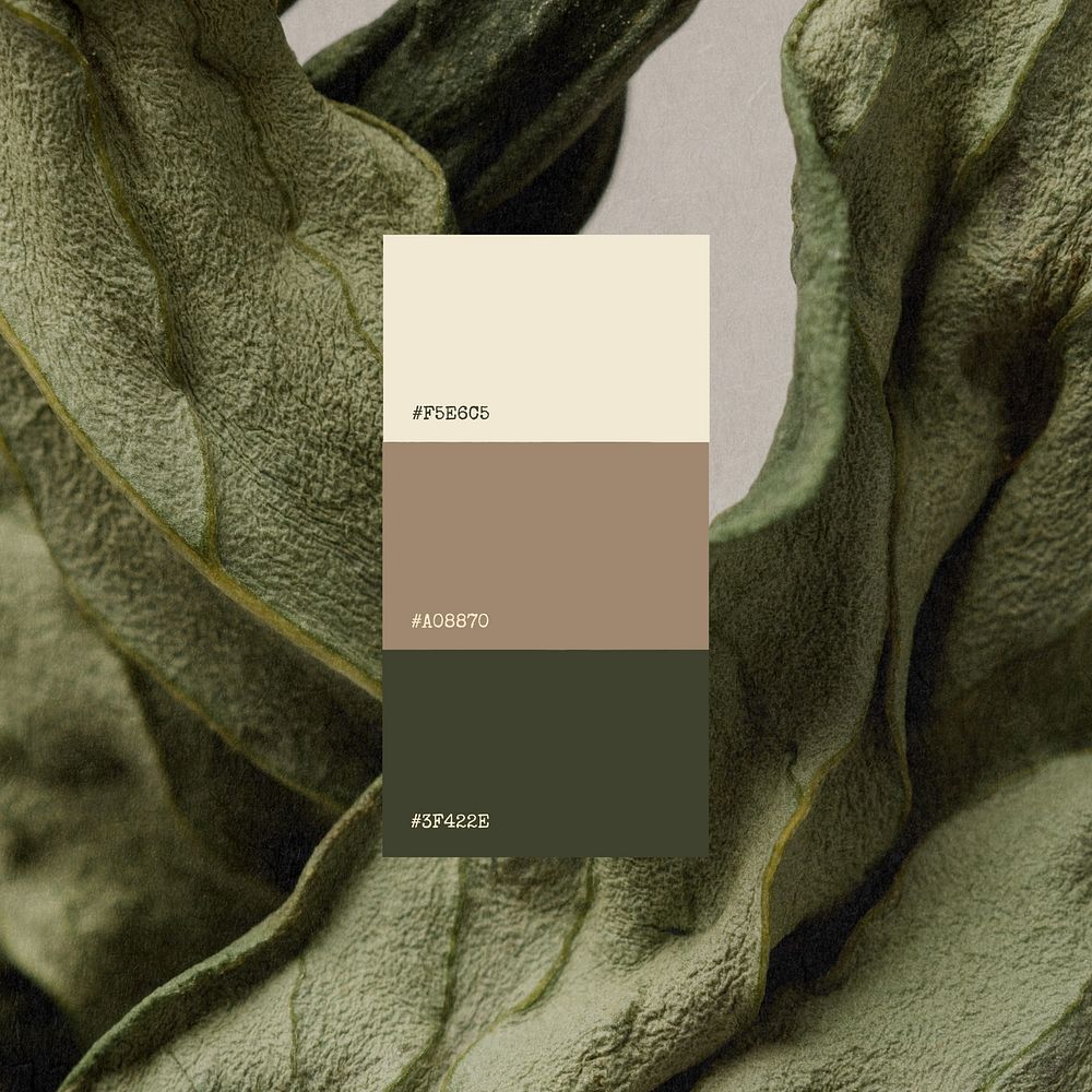 Color palette Instagram post template