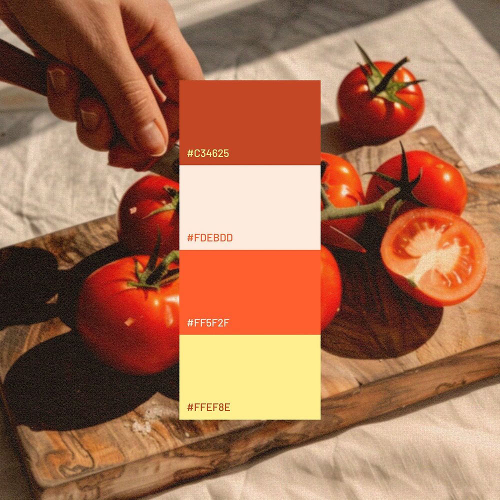 Color palette Instagram post template