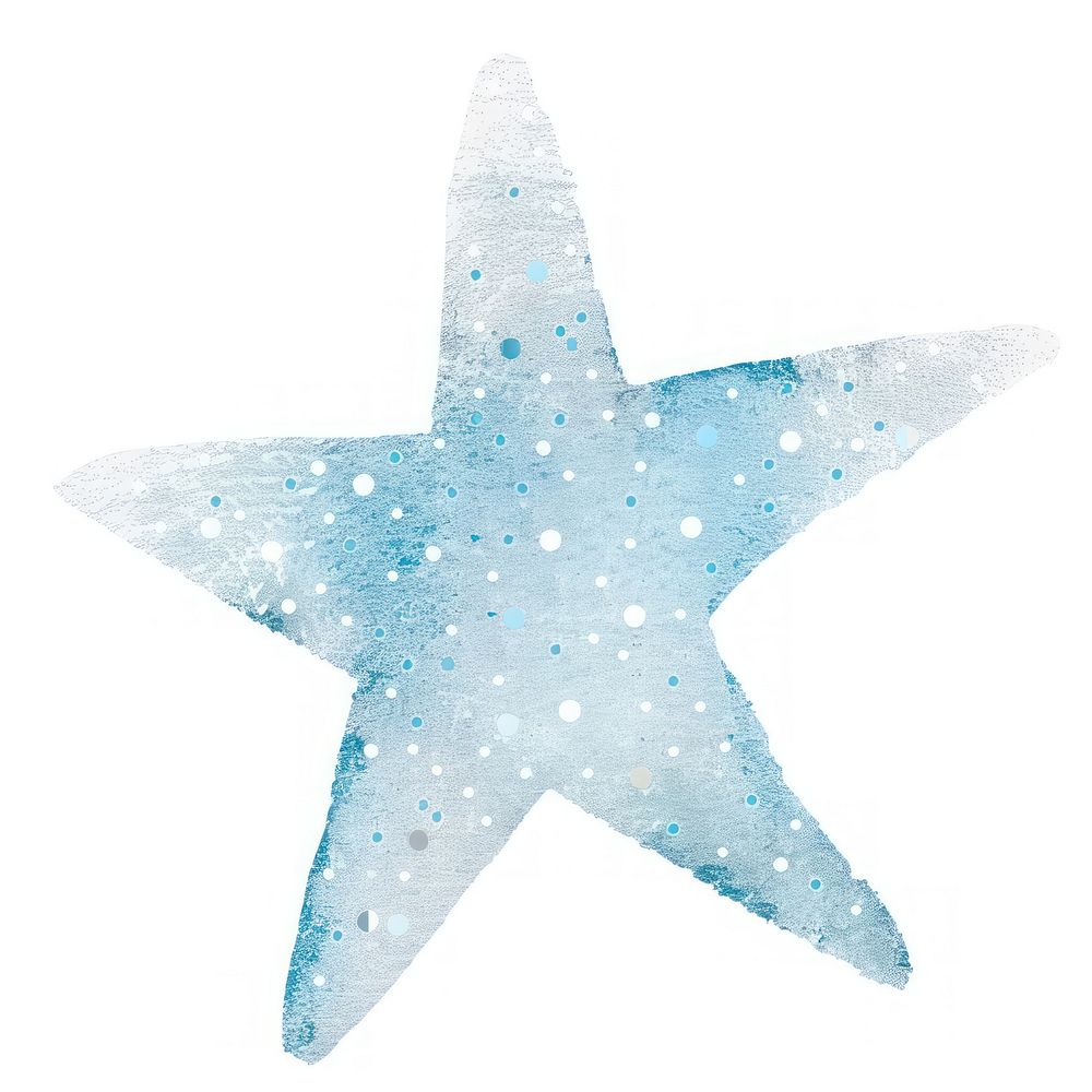 Clean light blue star glitter outdoors animal nature.