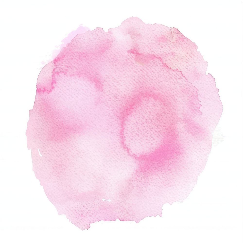Clean soft pastel pink carnation blossom flower.