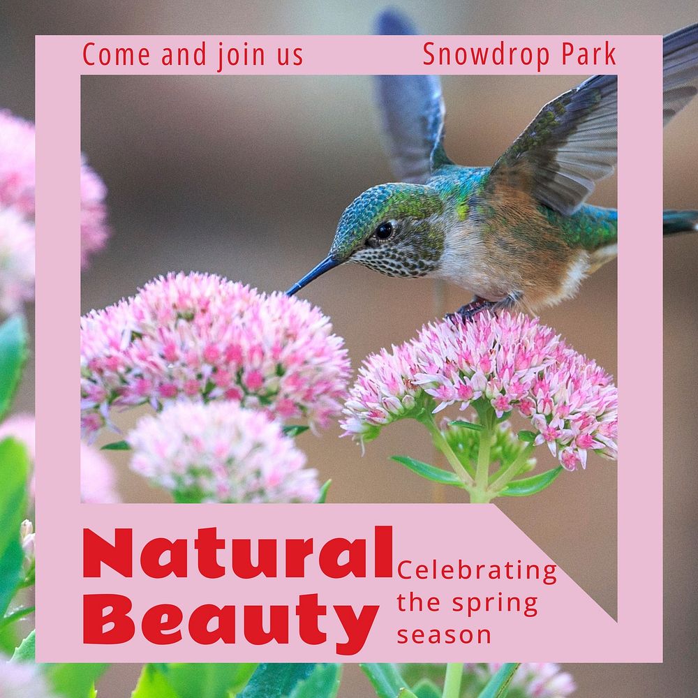 Natural beauty Instagram post template design