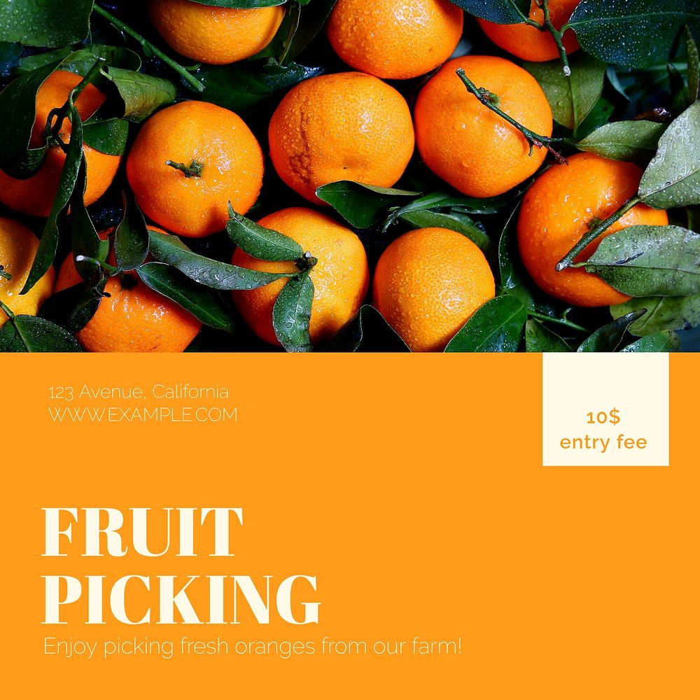 Fruit picking Instagram post template    design