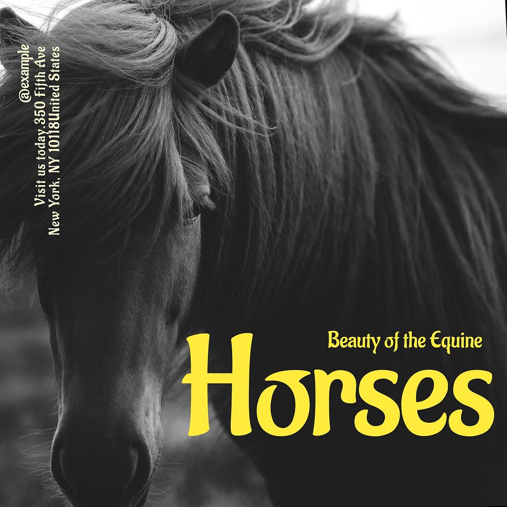 Beauty of horses Instagram post template design