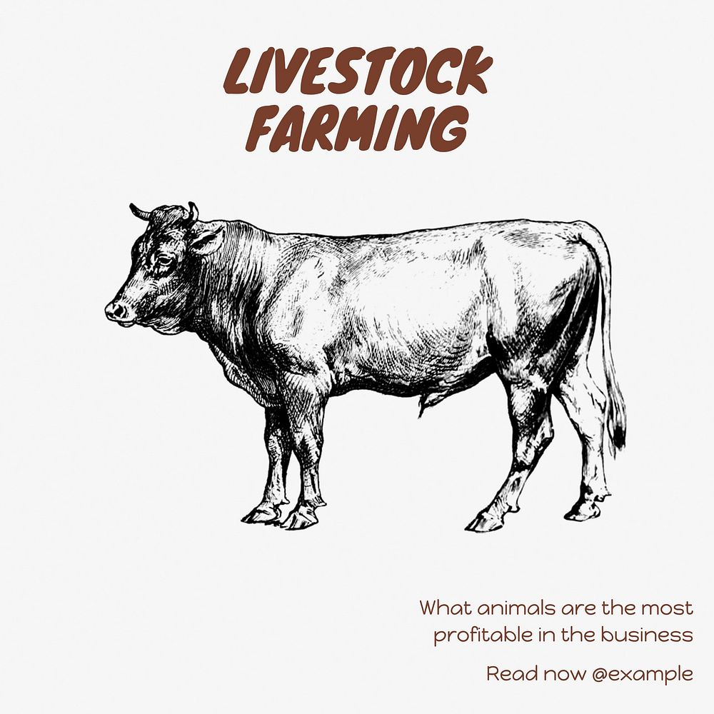 Livestock farming Instagram post template design