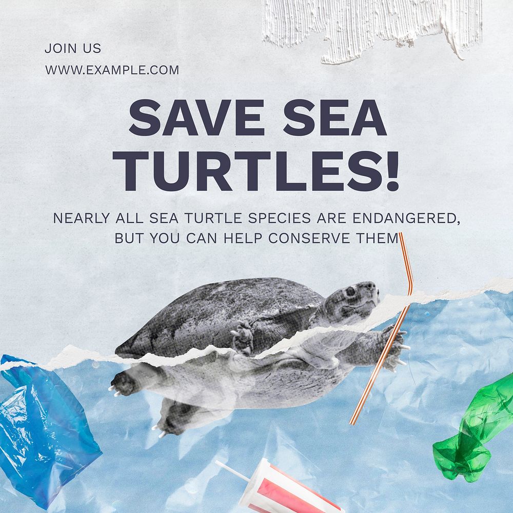 Save sea turtles Instagram post template