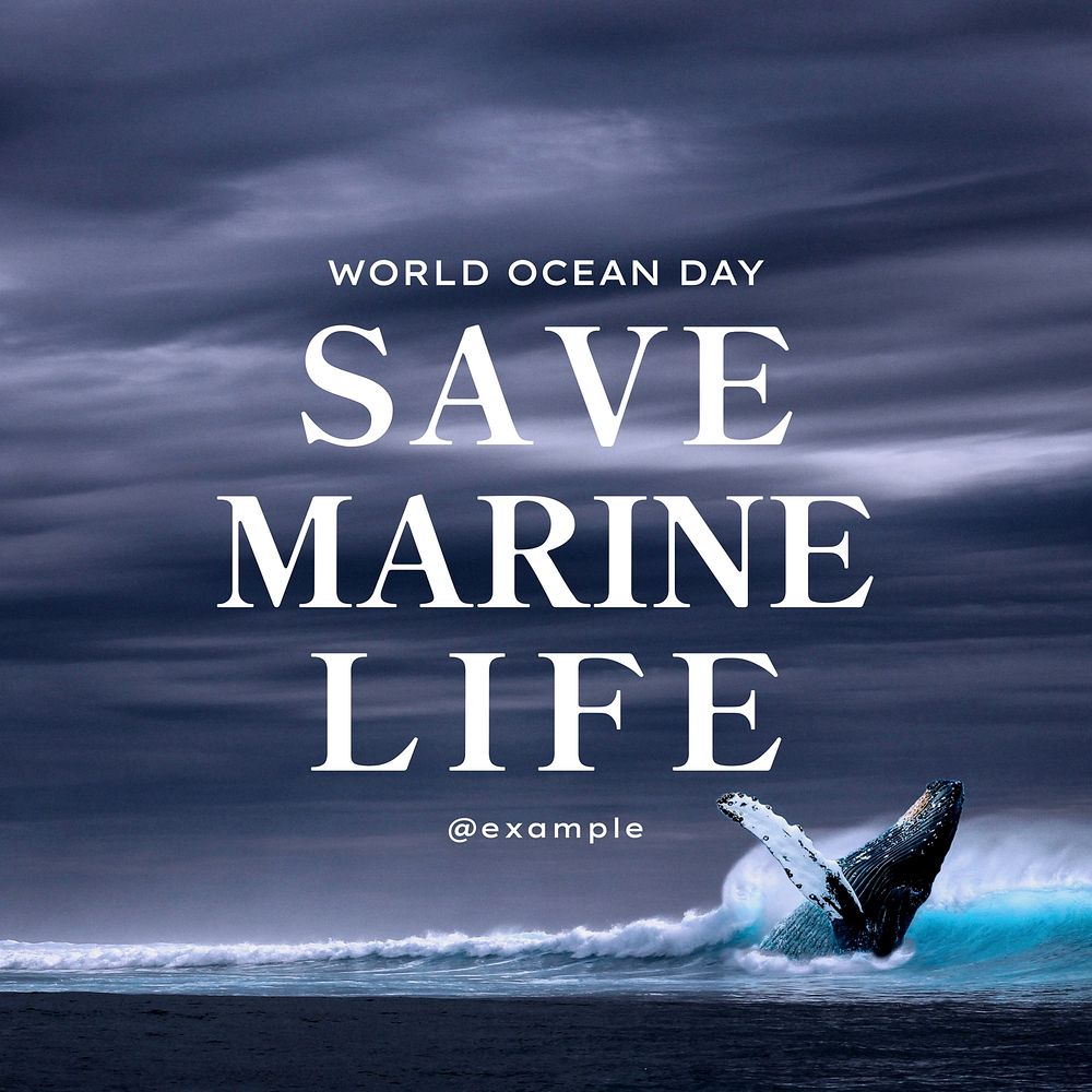 Save marine life post template social media design