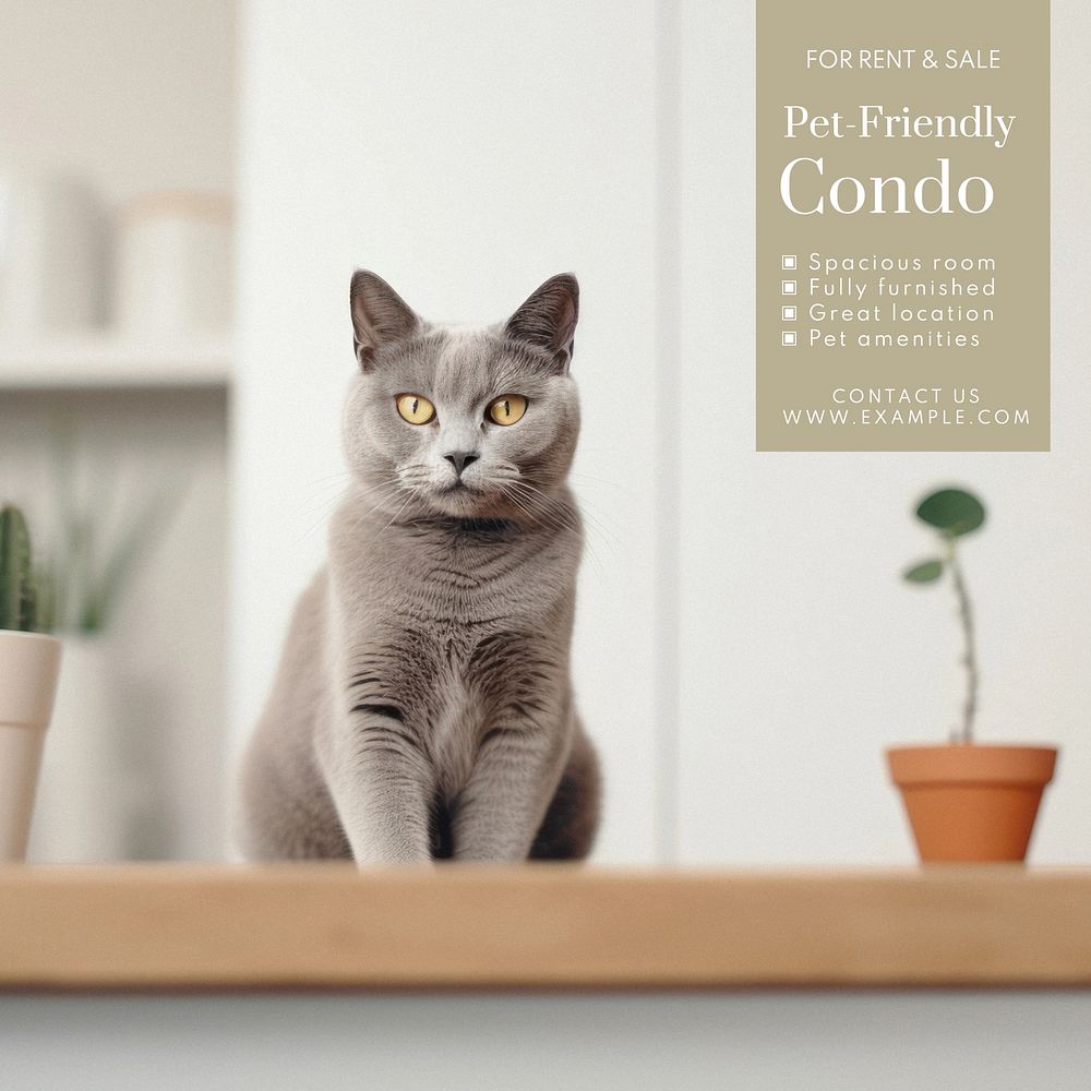 Pet-friendly condo Instagram post template