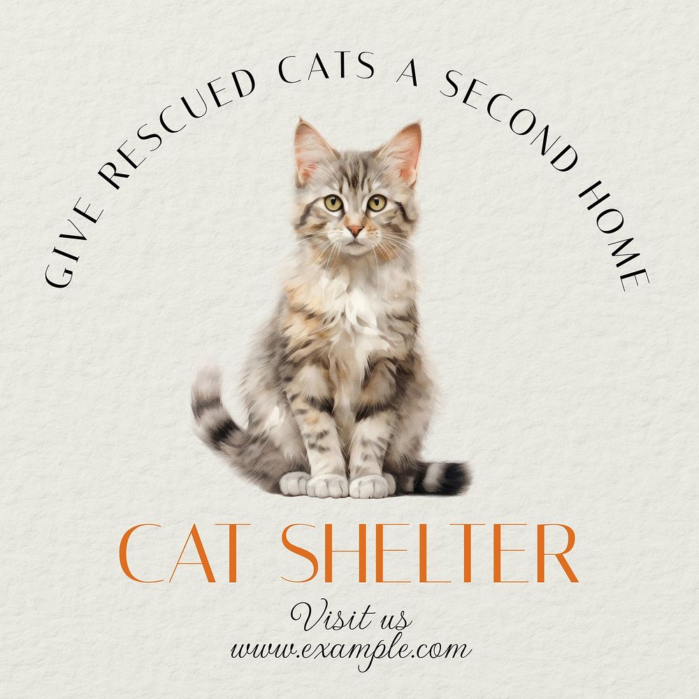 Cat shelter Instagram post template