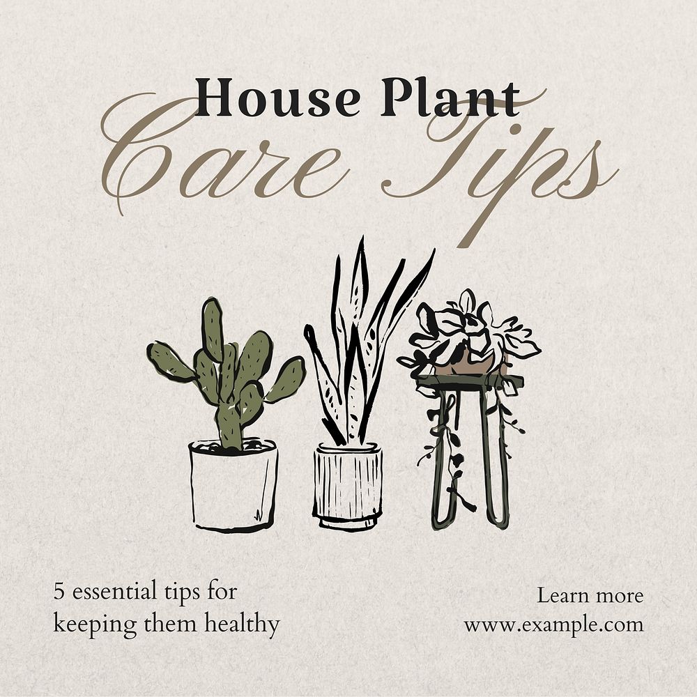 House plant care Instagram post template