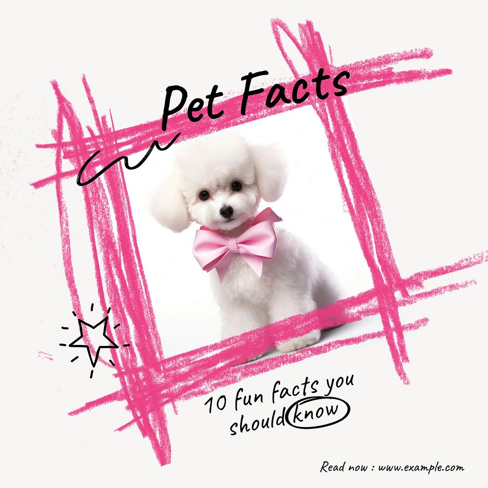 Pet facts Instagram post template
