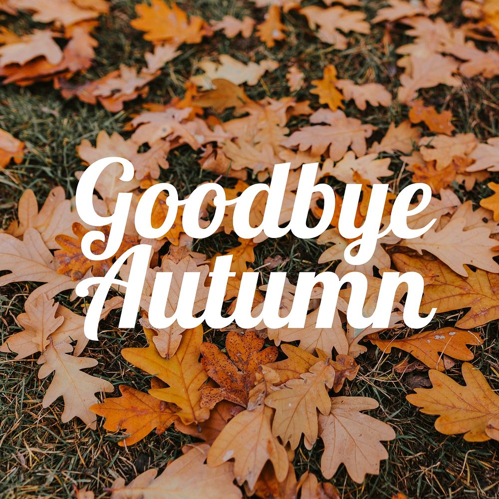 Goodbye autumn Instagram post template
