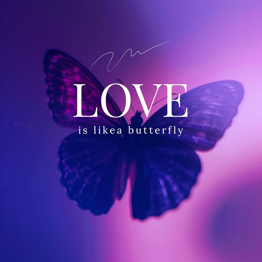 Love is like a butterfly Instagram post template