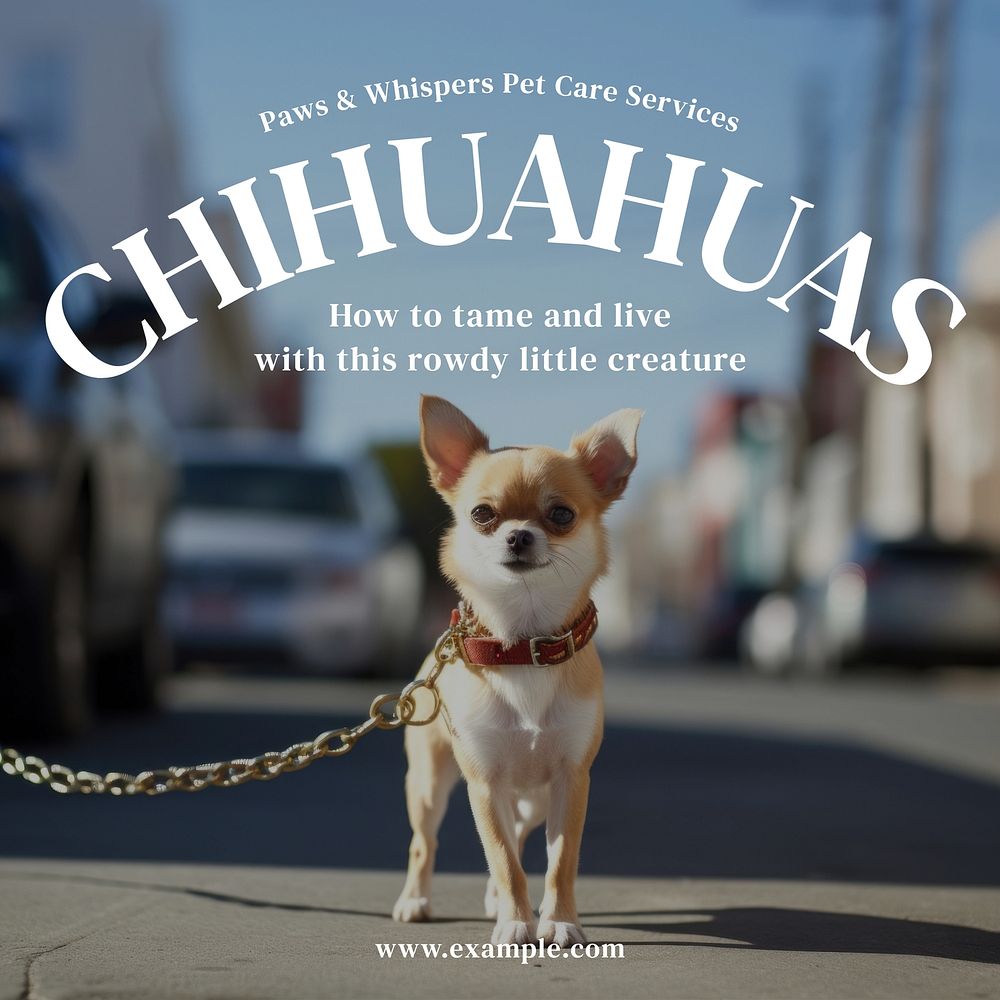 Chihuahua Instagram post template