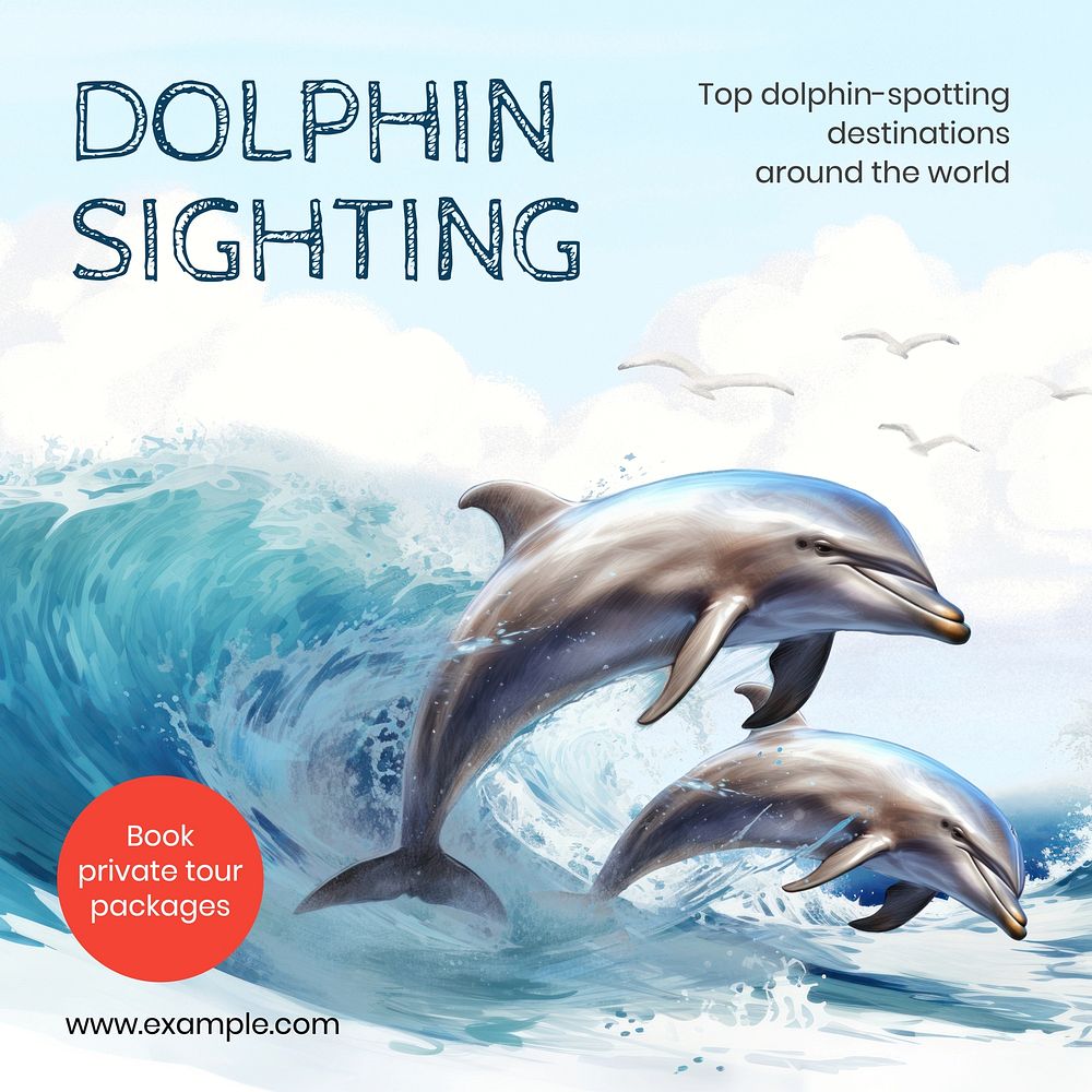 Dolphin sighting Instagram post template