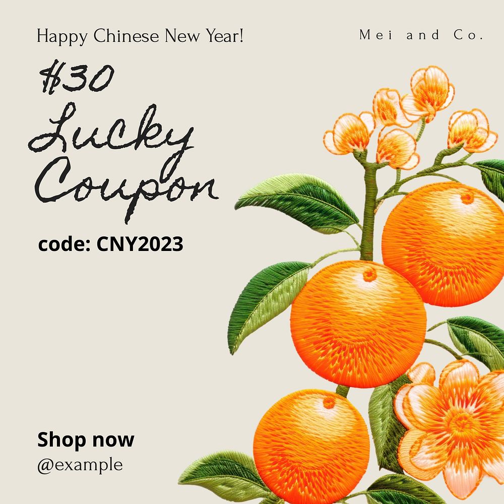 Lucky coupon Instagram post template