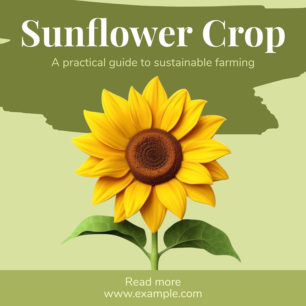 Sunflower farming sustainable Instagram post template