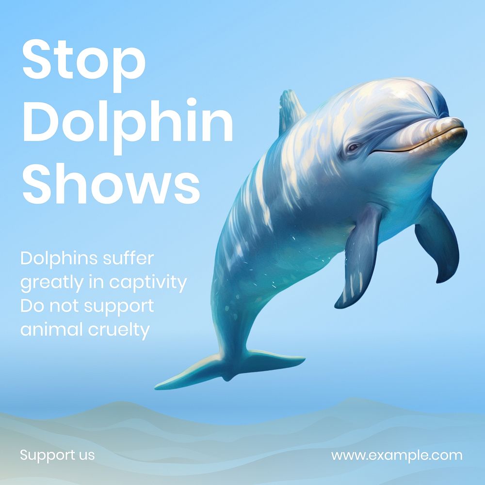 Stop dolphin show Instagram post template