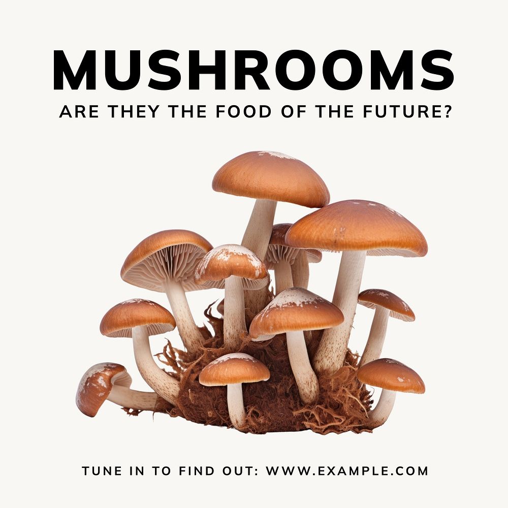 Mushroom Instagram post template