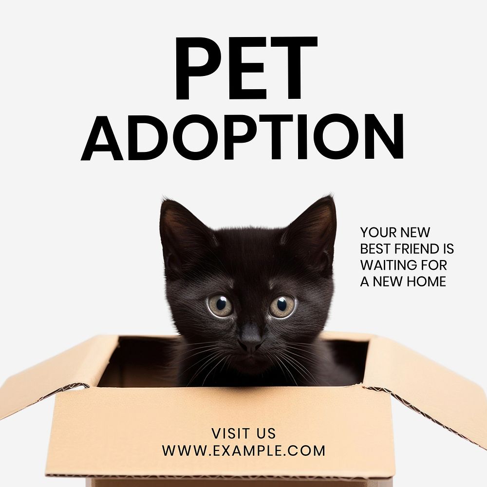 Pet adoption Instagram post template social media design