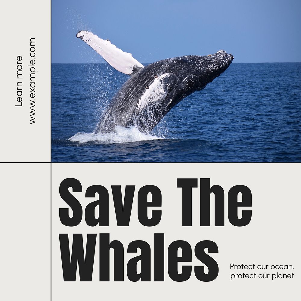 Save the whales Instagram post template