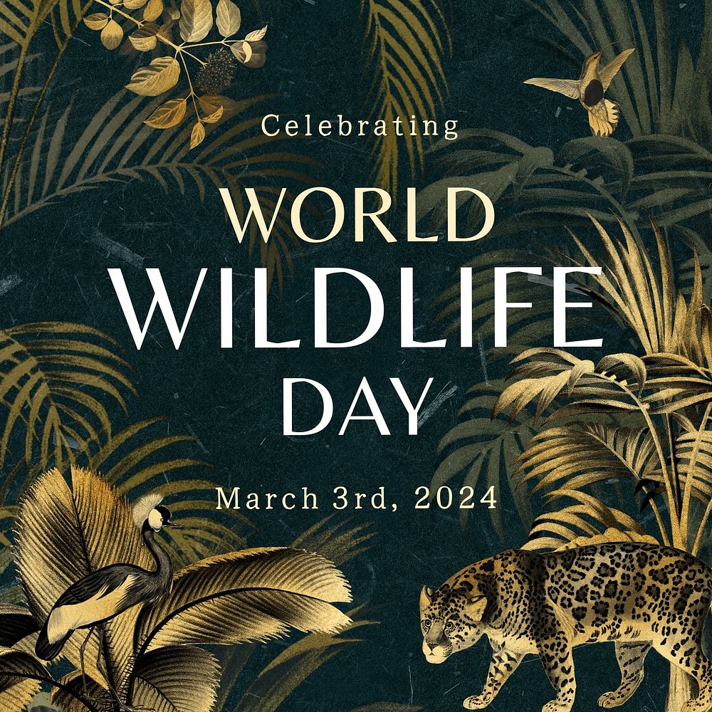 World wildlife day Instagram post template
