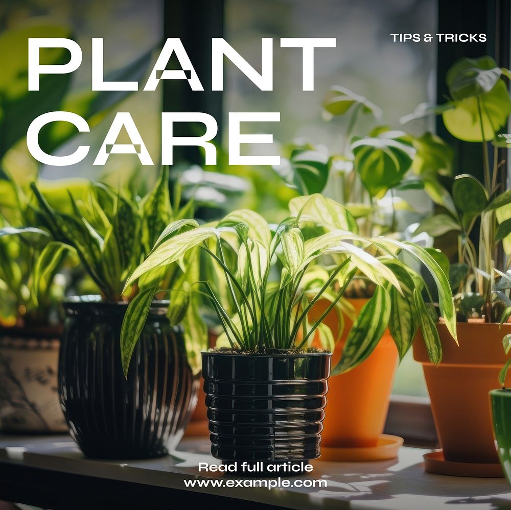 Plant care Instagram post template