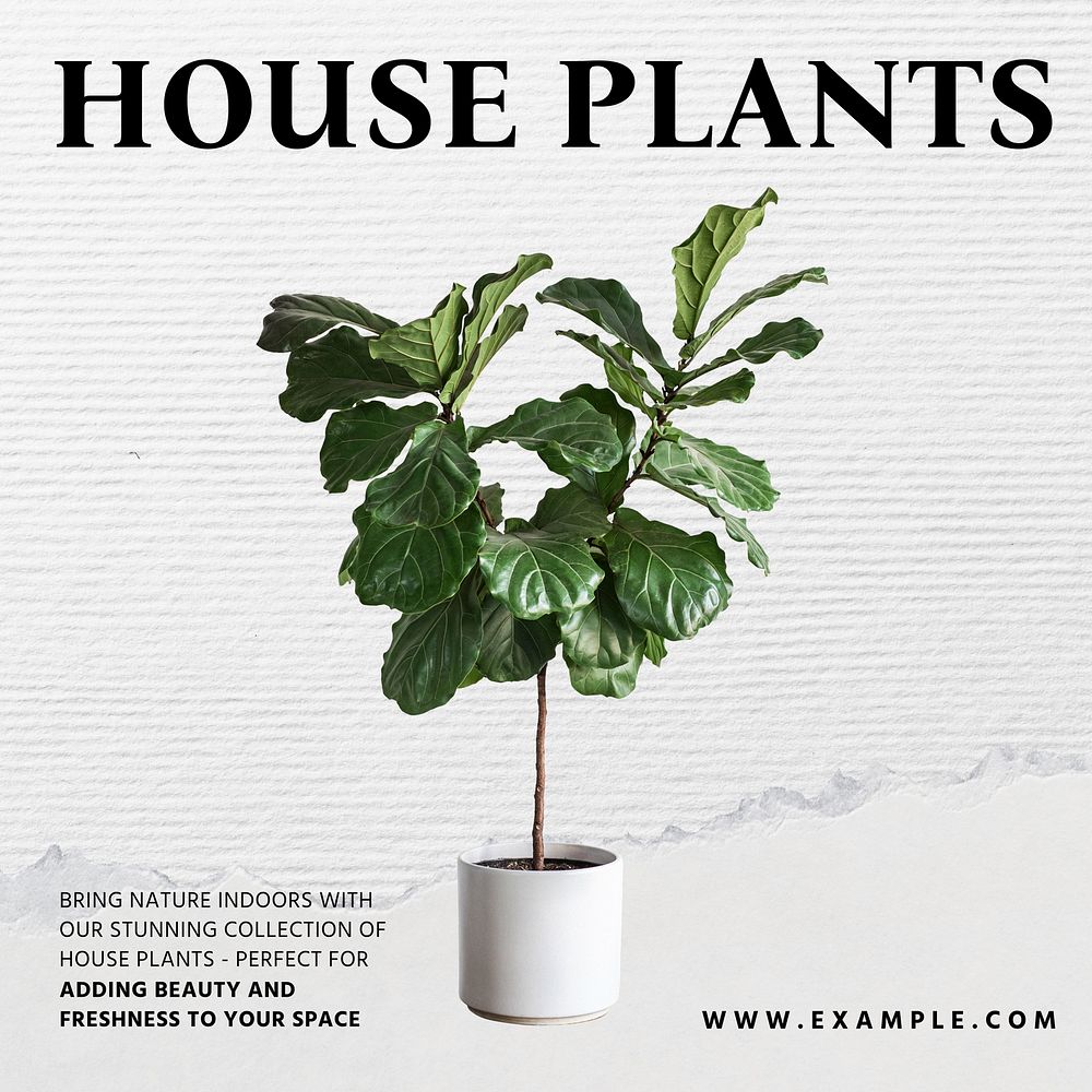 House plants Instagram post template