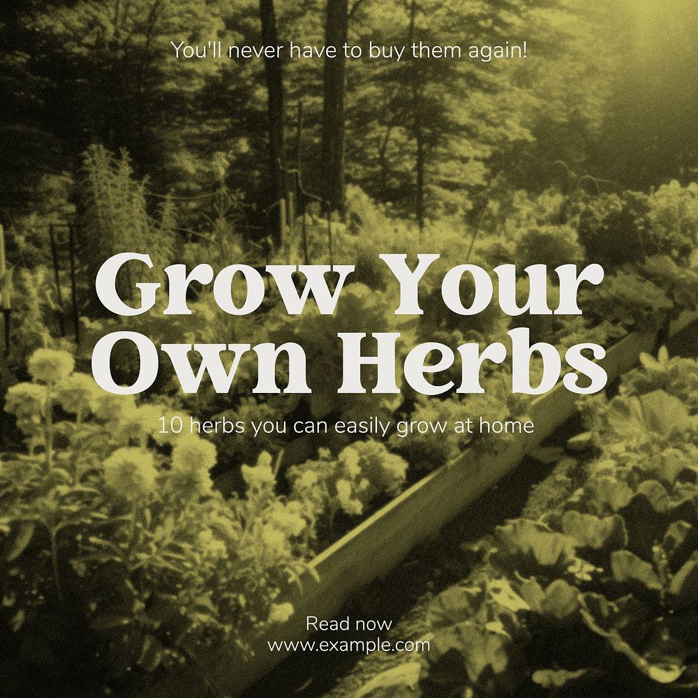 Herbs Instagram post template