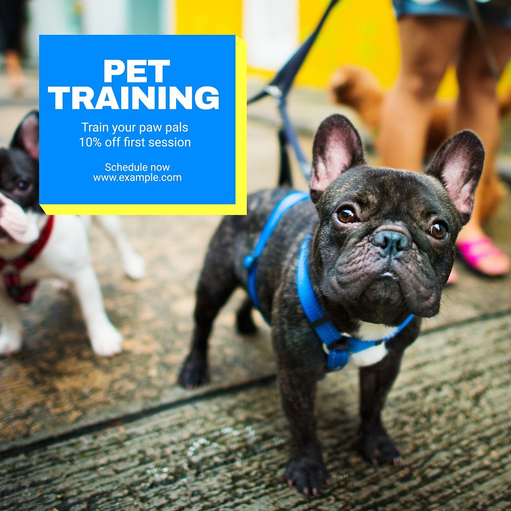 Pet training Instagram post template