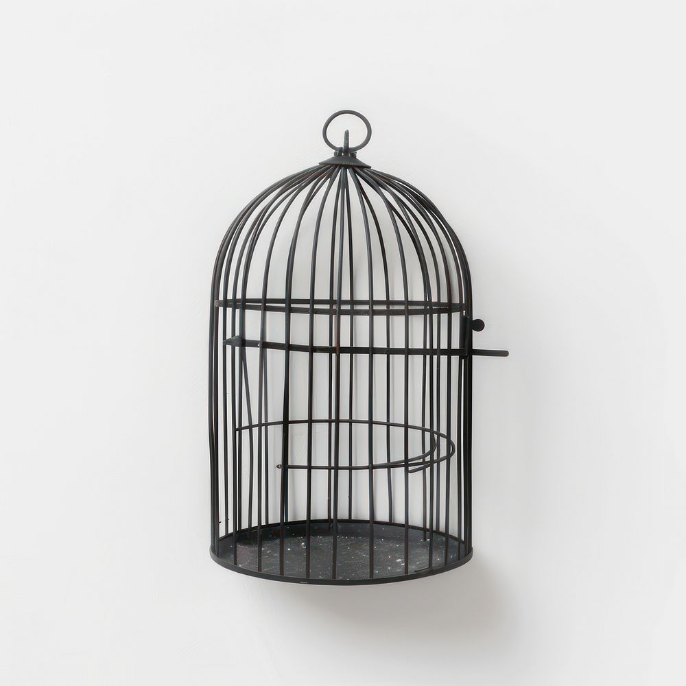 Bird cage.