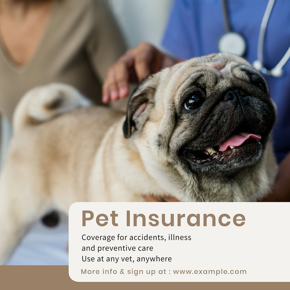 Pet insurance Instagram post template