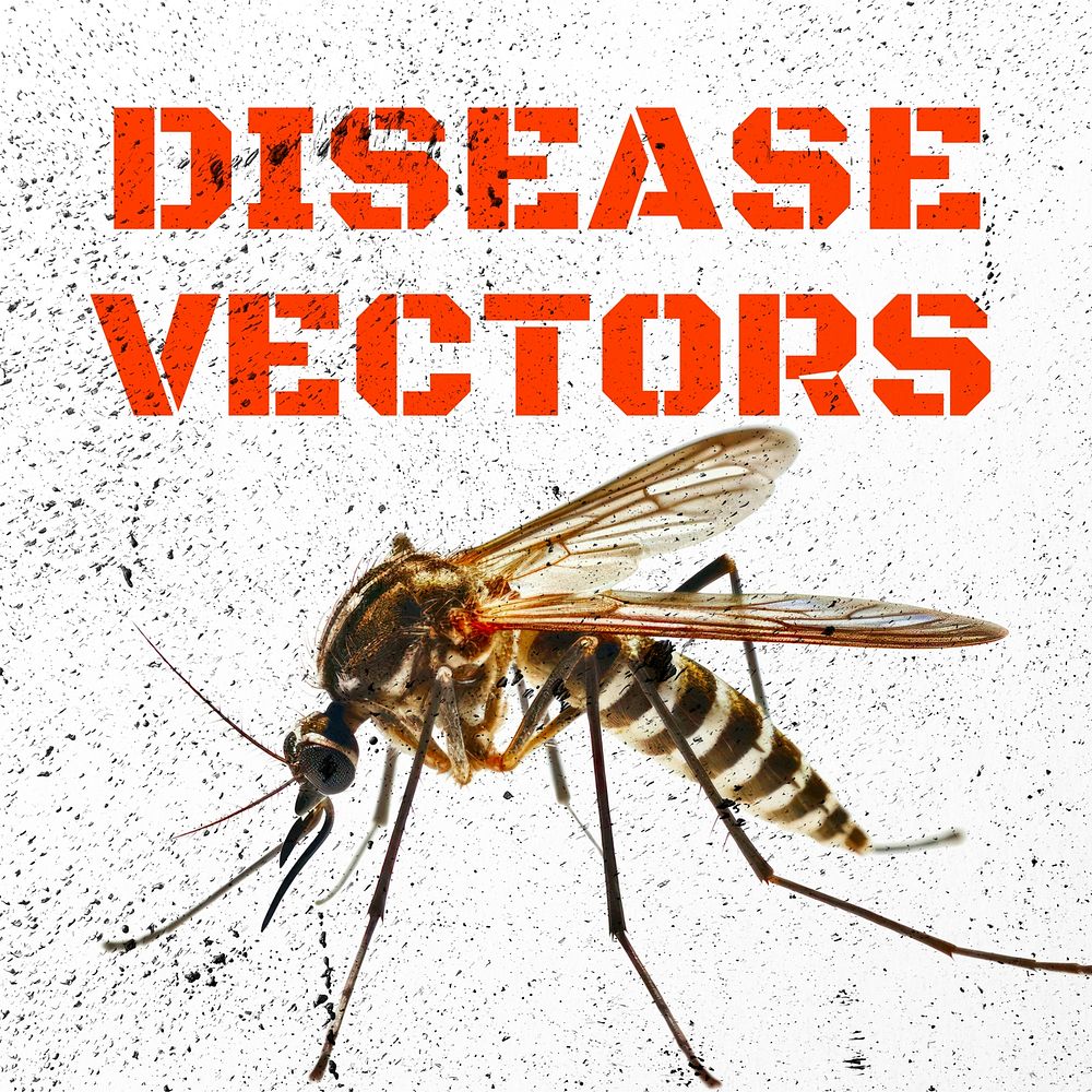 Disease vectors Instagram post template